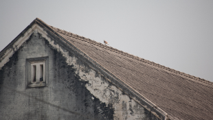 Crumbling roof