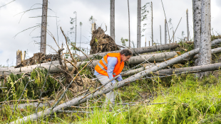 Construction worker cleaning up debris