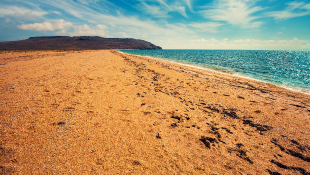 Beach and ocean